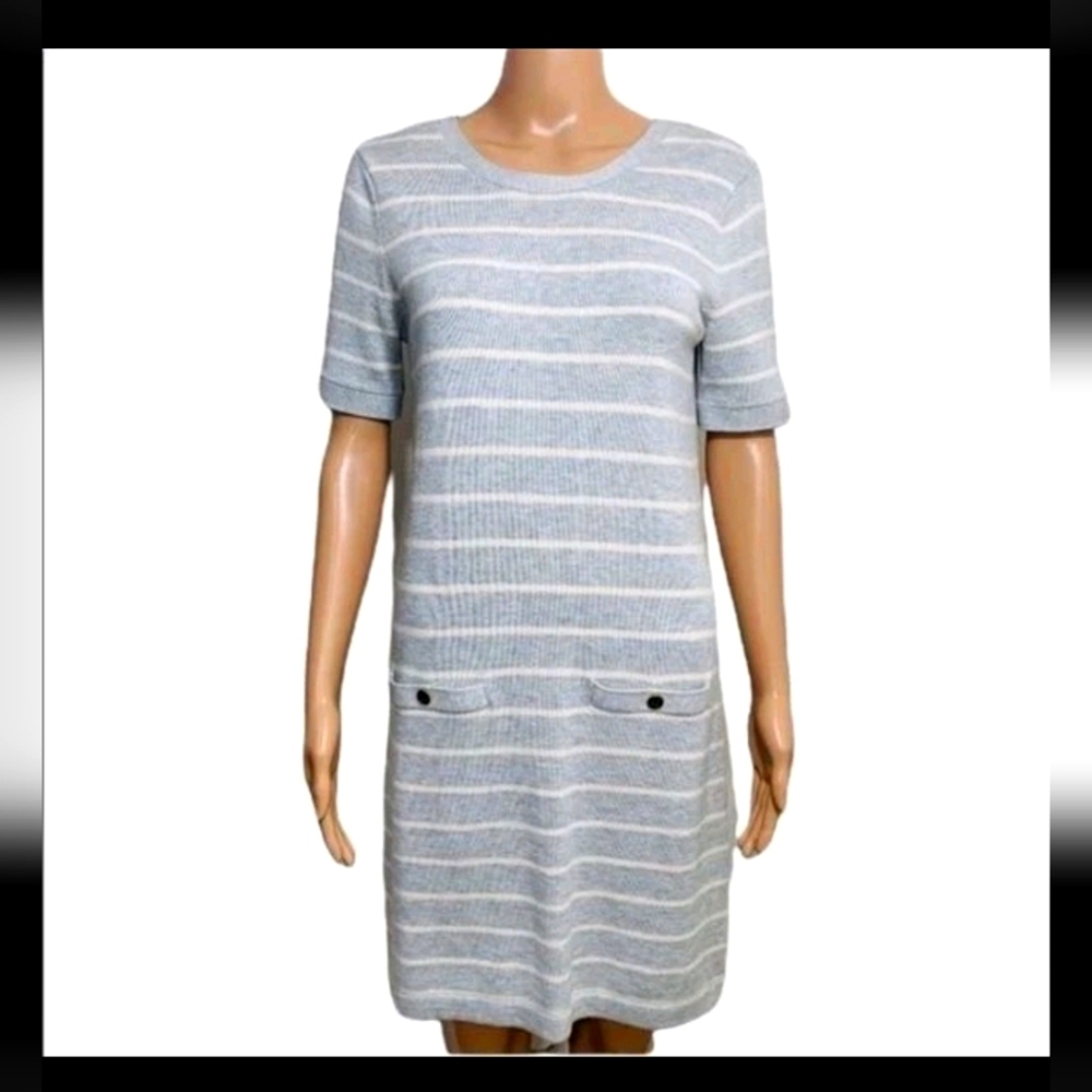1 Banana Republic Gray and White Striped Mini Dress